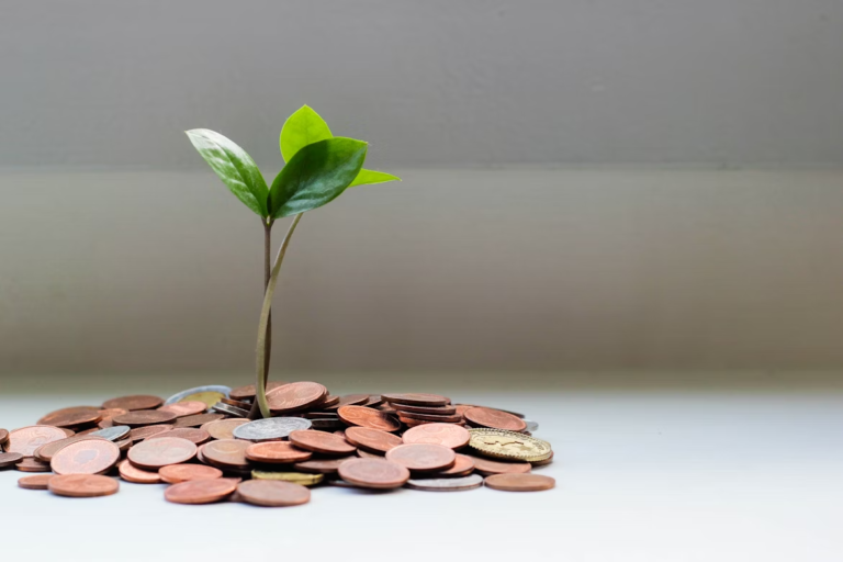High-Yield Savings Accounts